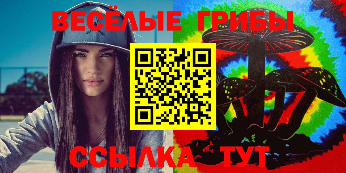 Галлюциногенные грибы Psilocybe  Вход с VPN  Протвино 